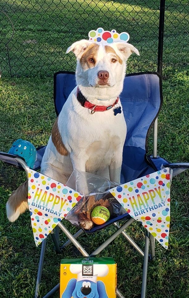 Rocco